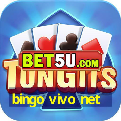 bingo vivo net